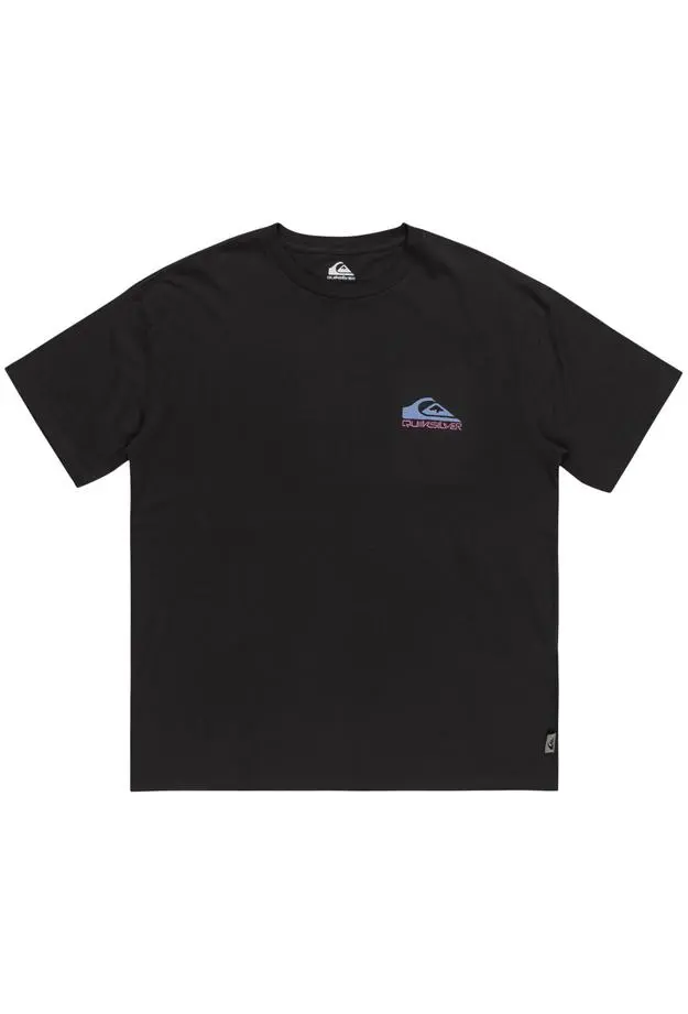 Quiksilver Quiksilver Take Us Back Logo Erkek Gri Tişört S