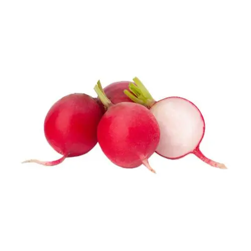 Turp Kırmızı