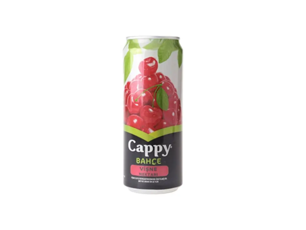 Cappy Vişne & Şeftali (25 cl.)