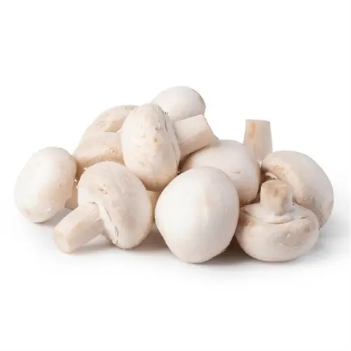 Mantar Paket 300 Gr