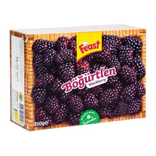 Feast Böğürtlen 350 Gr