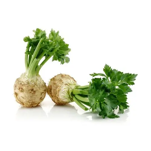 Kereviz 1 KG