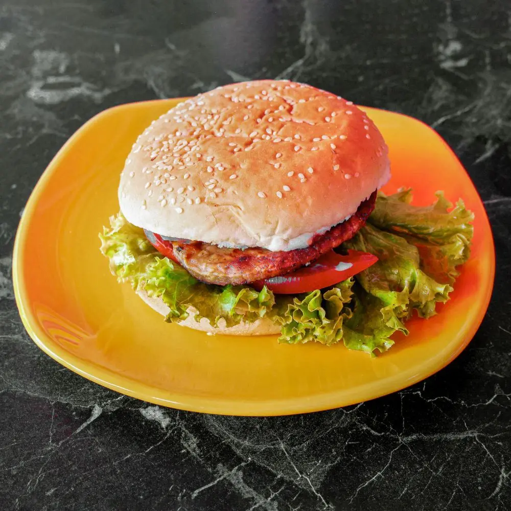 2'li Dana Hamburger