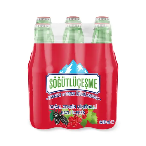 Söğütlüçeşme Karadut Ve Frenk Üzümü 6 x 200 Ml