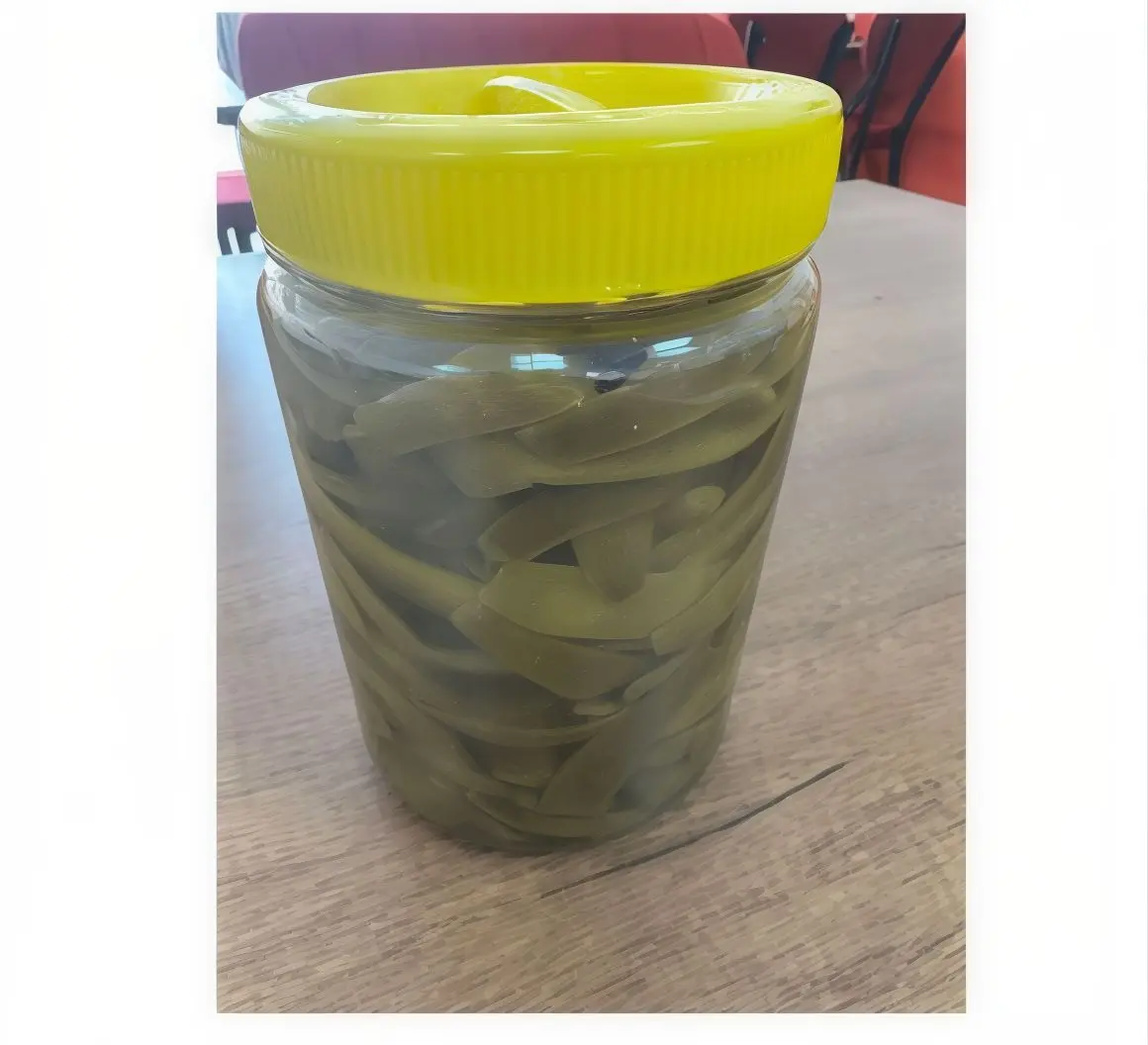 Taze Fasulye (1 kg.)