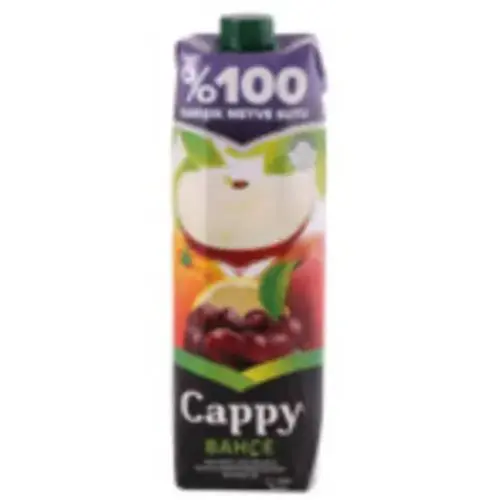 Cappy Yüzde 100 Elma Karışık 1 Lt