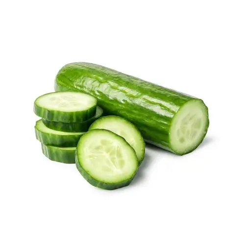Salatalık KG