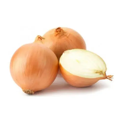 Kuru Soğan
