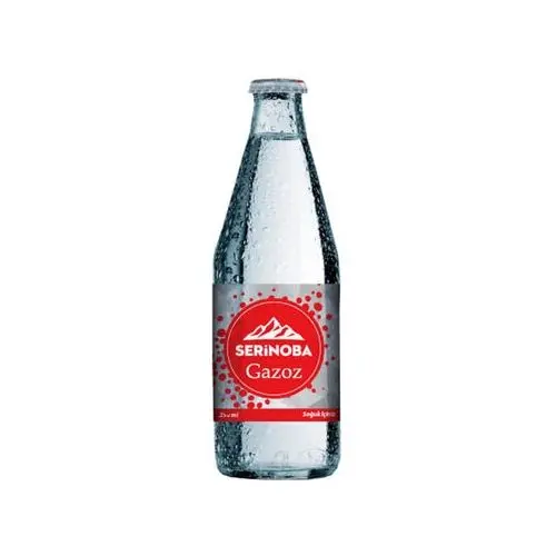 Serinoba Gazlı İçecek Gazoz 250 ML