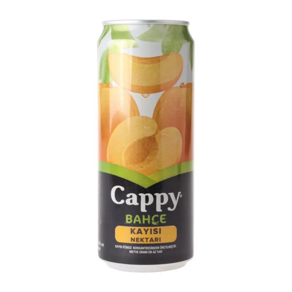 Cappy Kayısı (33 cl.)