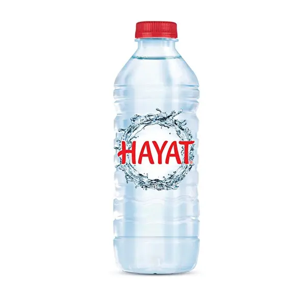 Hayat Su 500 Ml