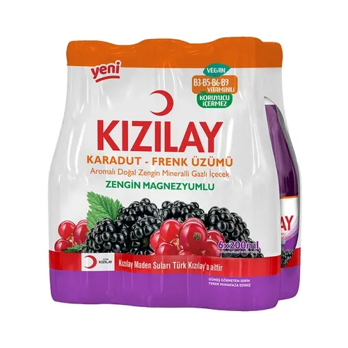 M.suyu Karadut-f.uzumu 6x200 Ml Kızılay