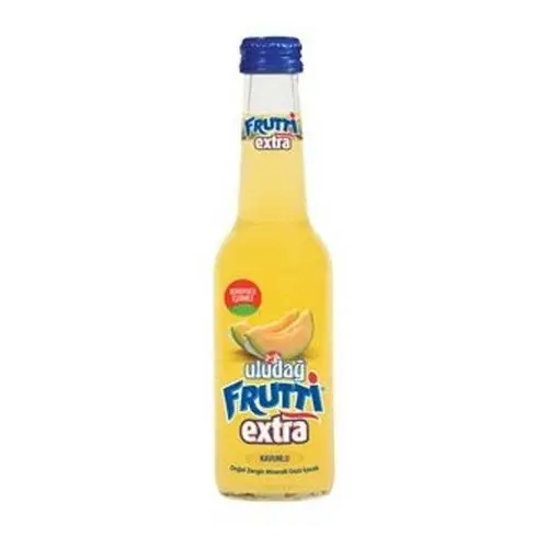 Frutti Extra Kavun 250 Ml