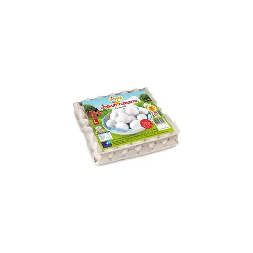 Coşkun 20li L Boy Yumurta (63-72 Gr)