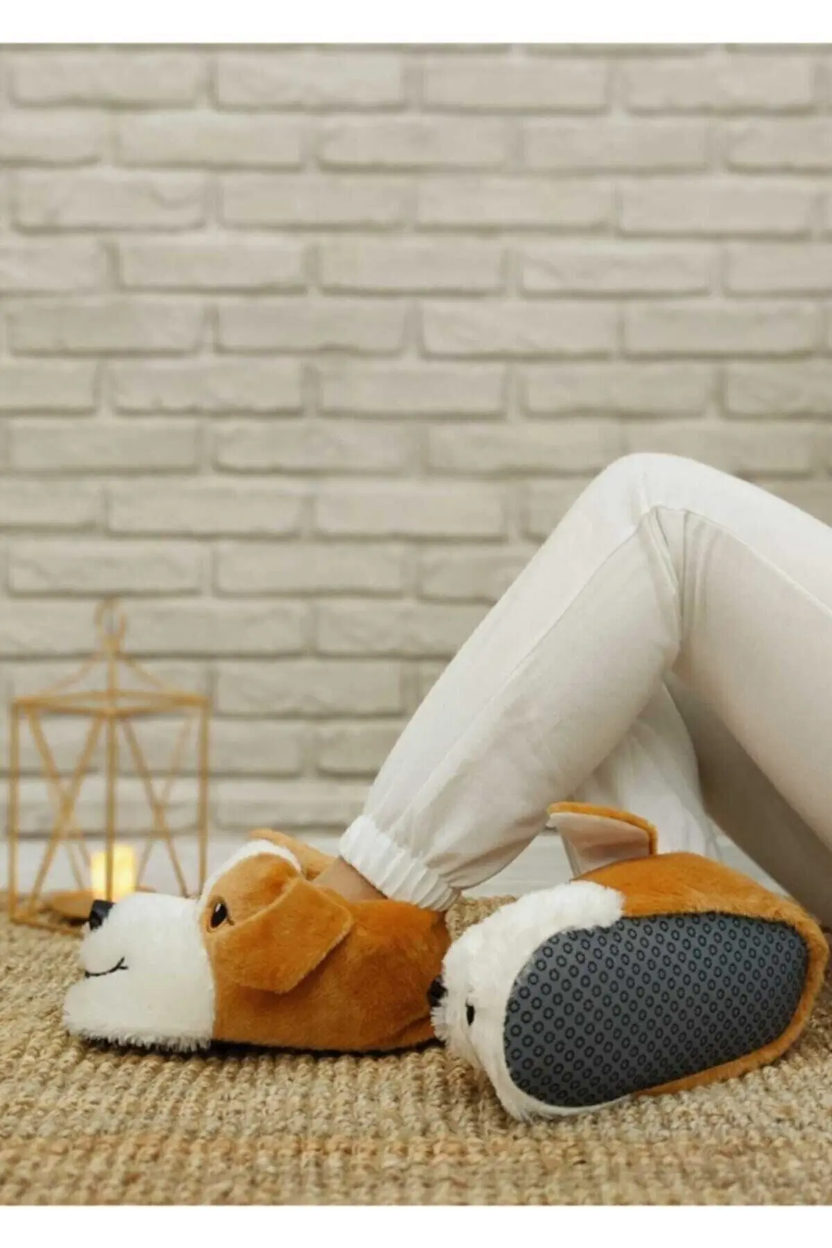 Erkek Taba Beyaz Köpekli Panduf Ev Içi Bot