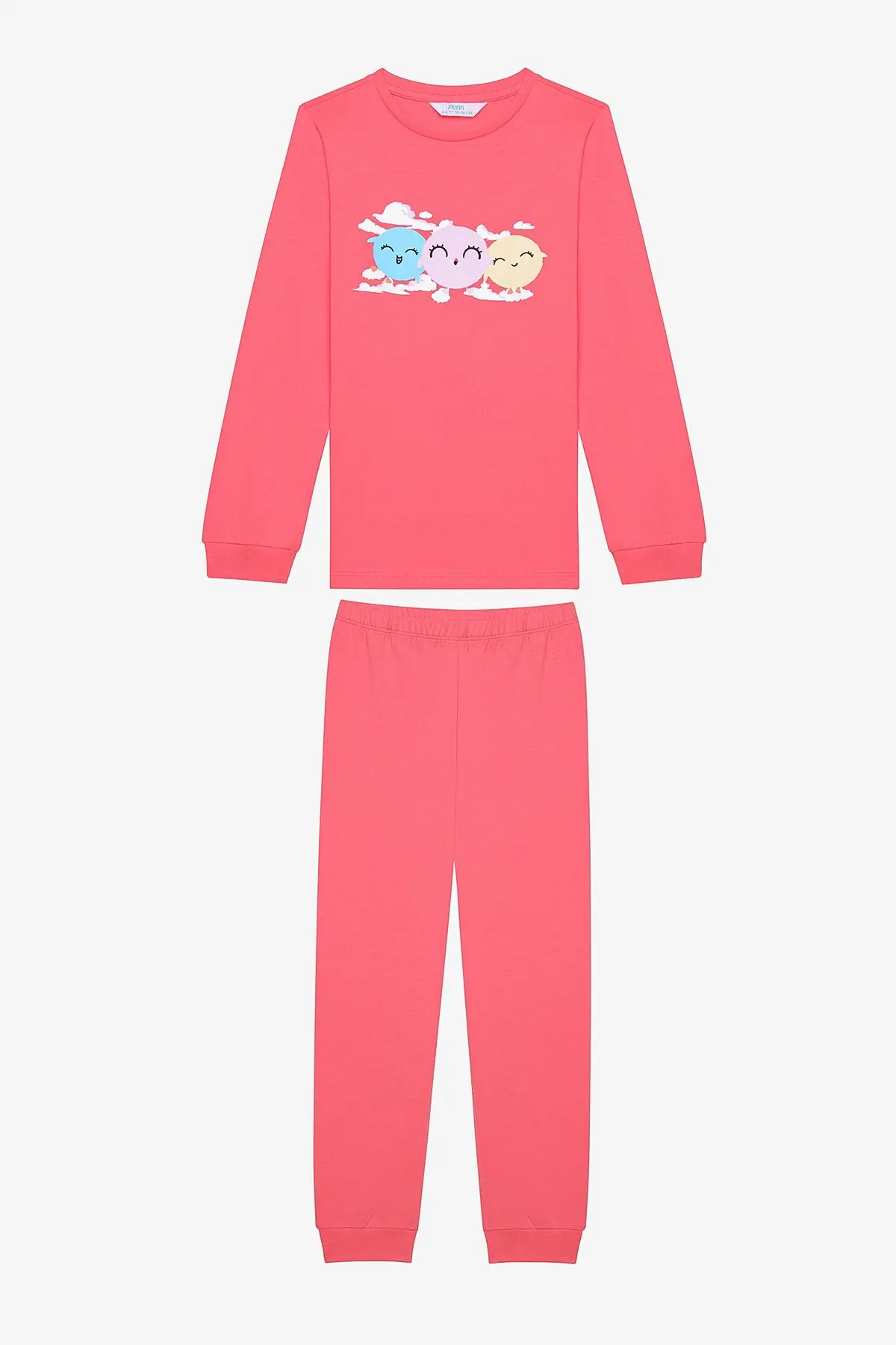 Kız Çocuk Birds 2li Çok Renkli Pijama Takımı