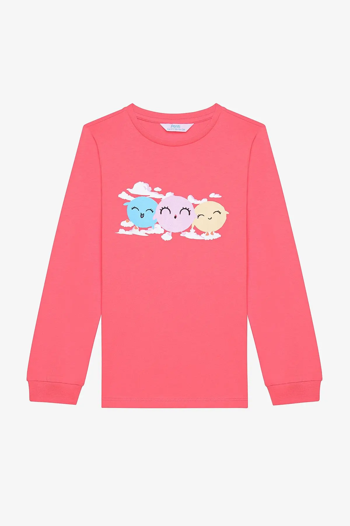 Kız Çocuk Birds 2li Çok Renkli Pijama Takımı