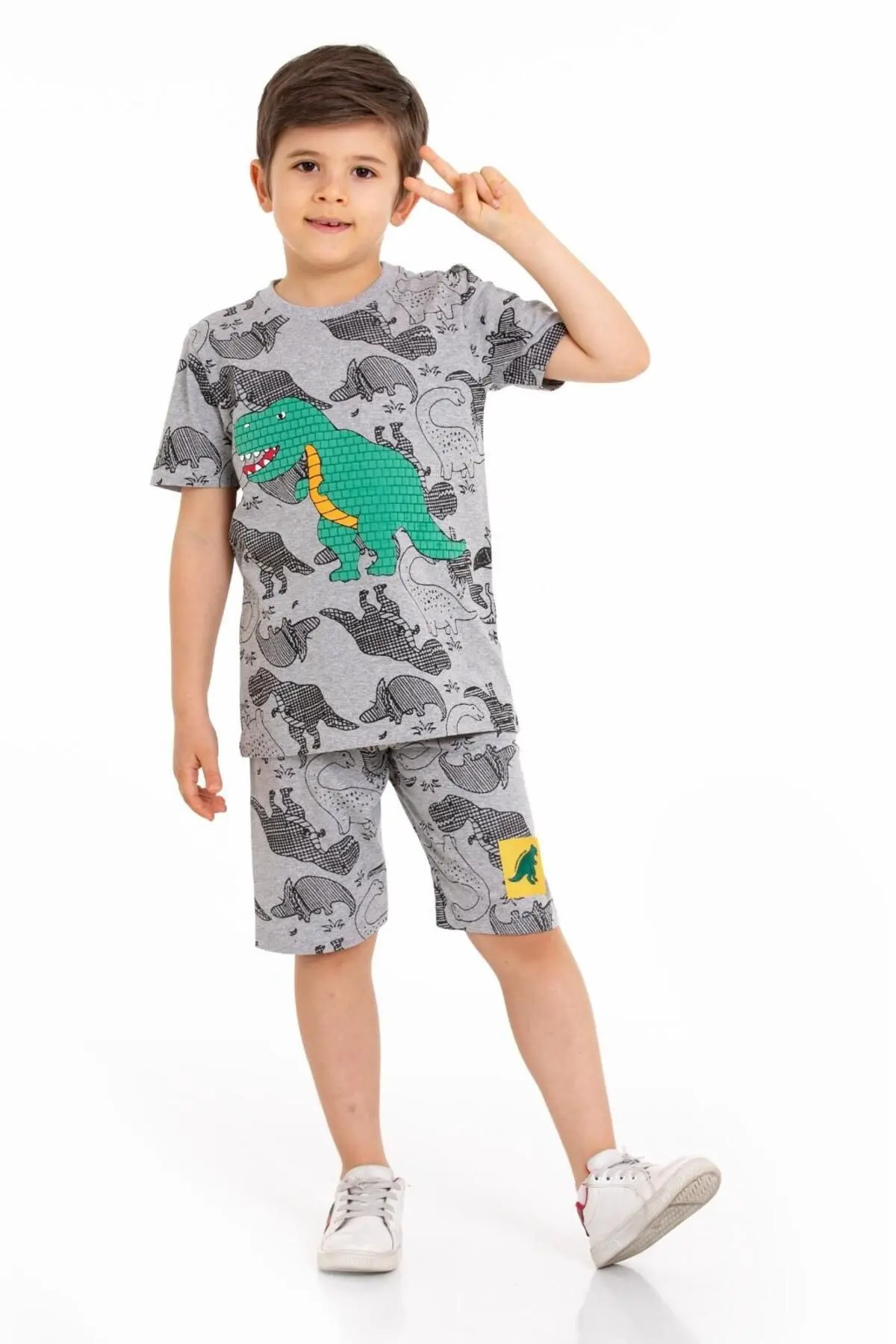 AnstarsitDinoYarımKol