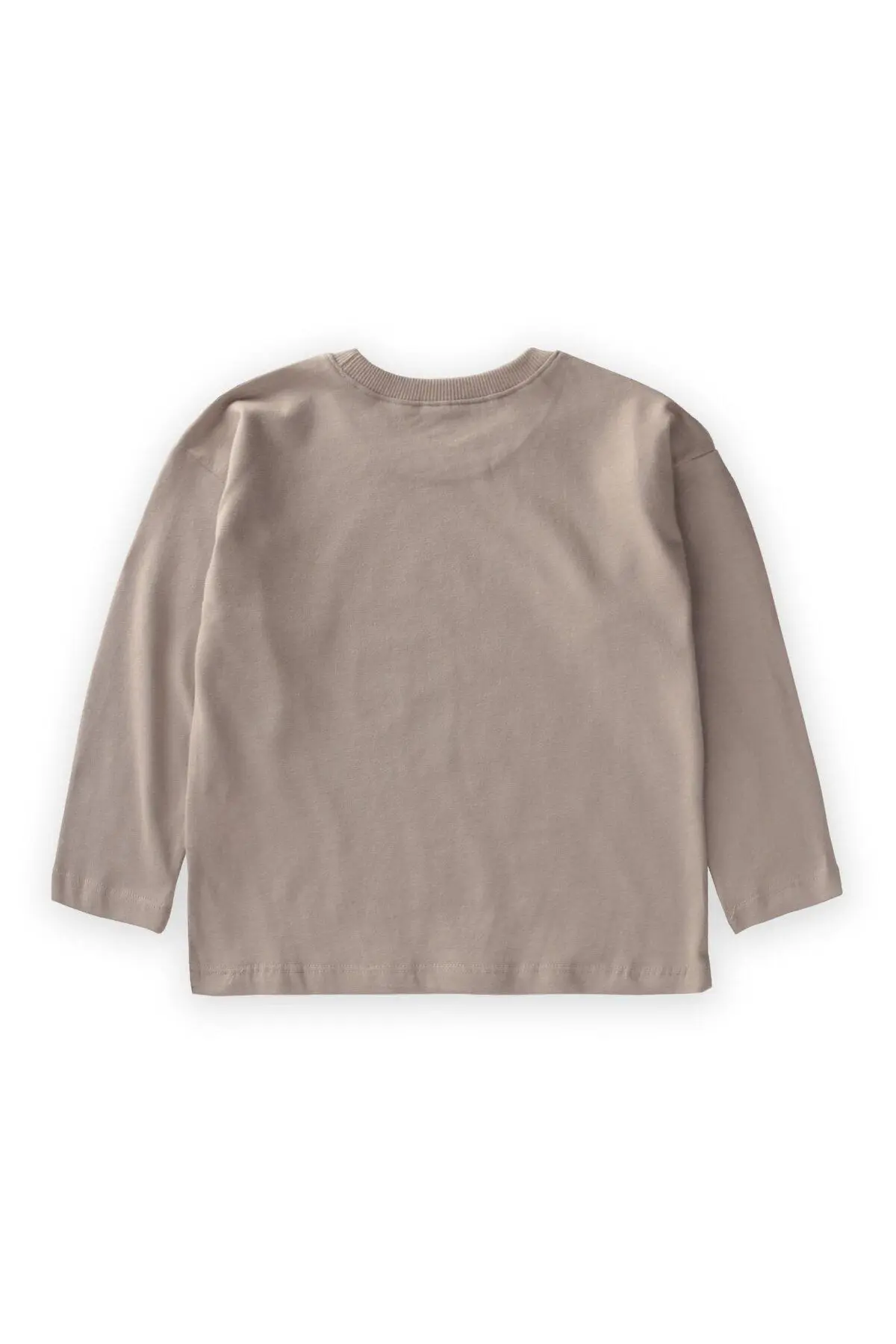 Etiket Detaylı Mevsimlik T-Shırt 2-10 Yaş Vizon