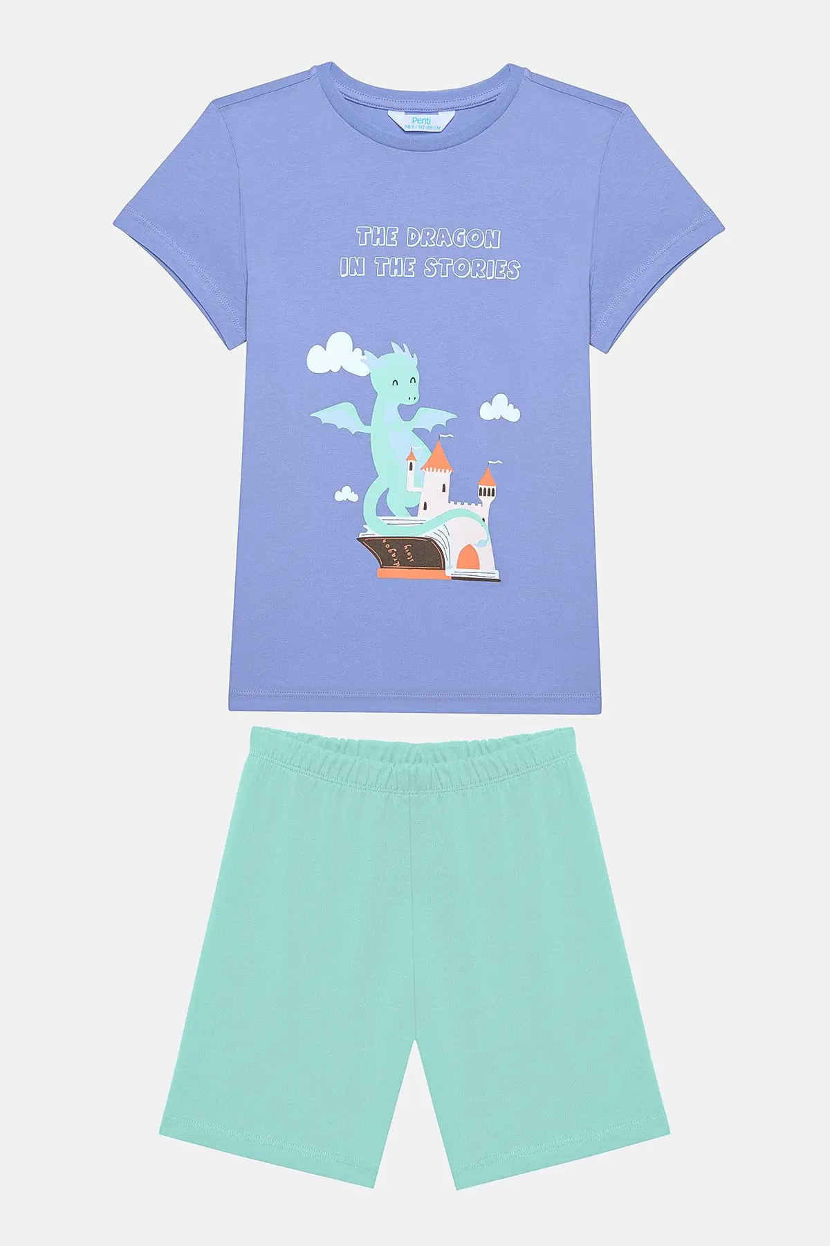Erkek Çocuk Dragon Book 2li Çok Renkli Pijama Takımı