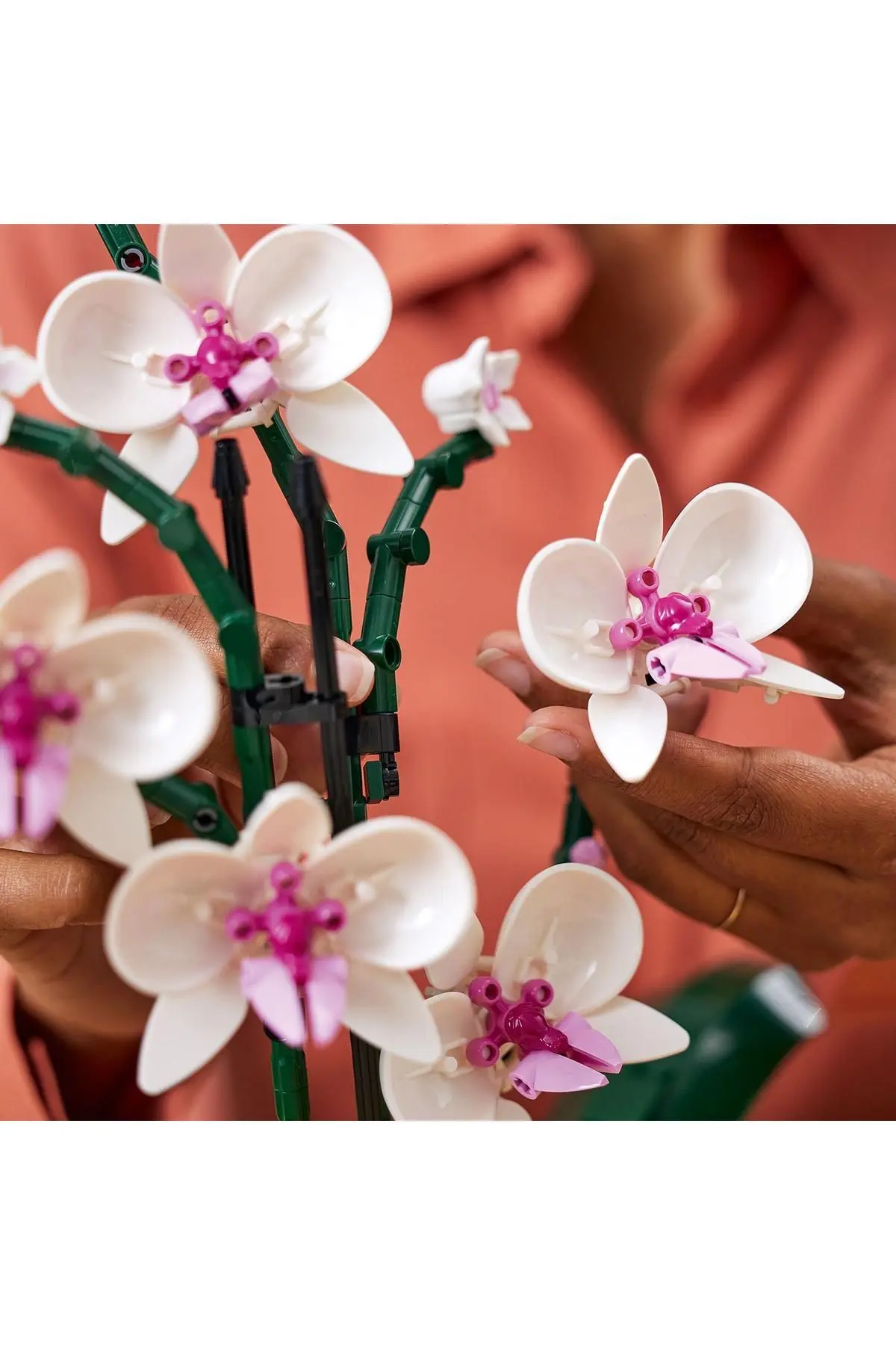 ® ICONS Orkide 10311 - Yetişkinler İçin Koleksiyonluk Dekoratif Yapım Seti (608 Parça)