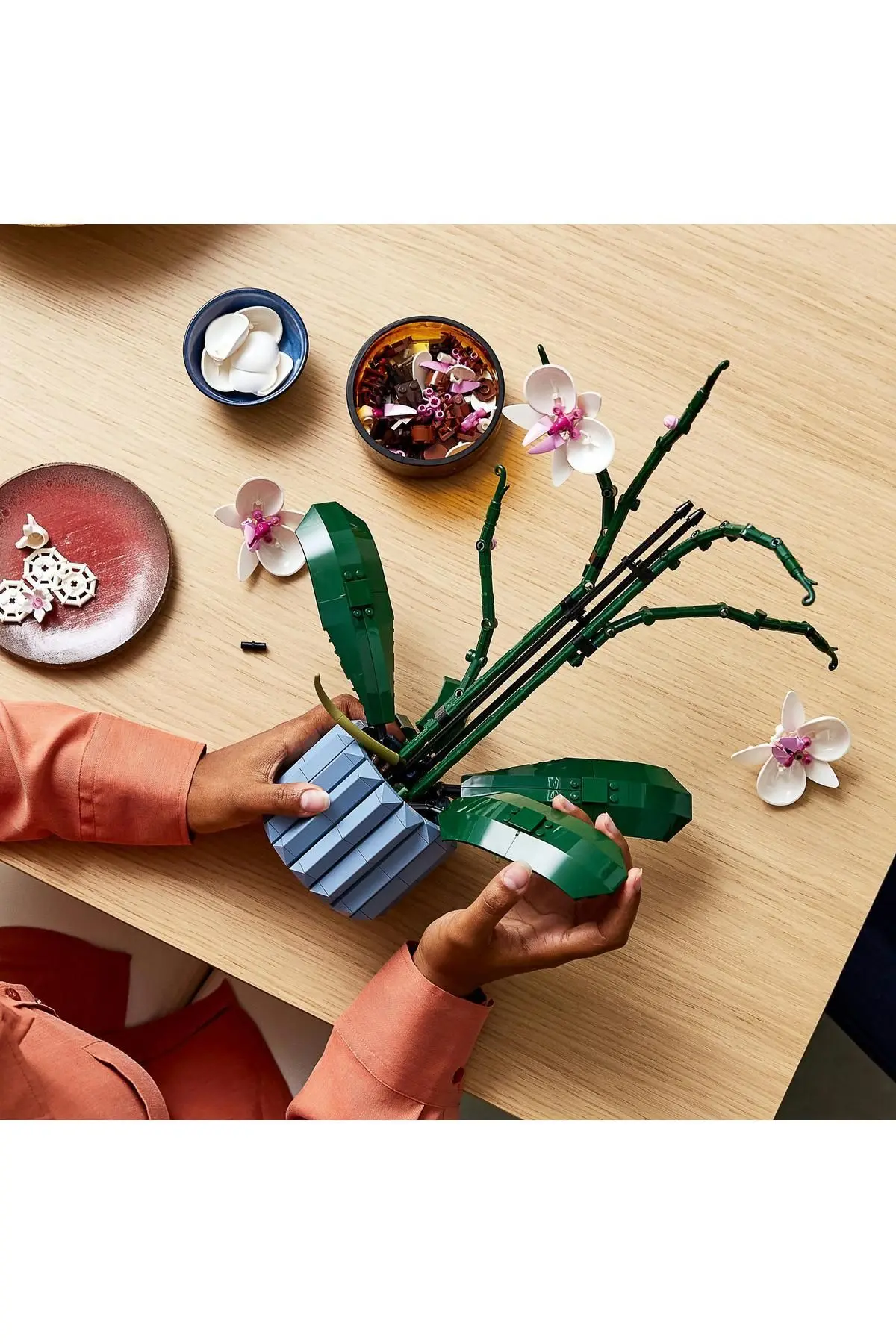 ® ICONS Orkide 10311 - Yetişkinler İçin Koleksiyonluk Dekoratif Yapım Seti (608 Parça)