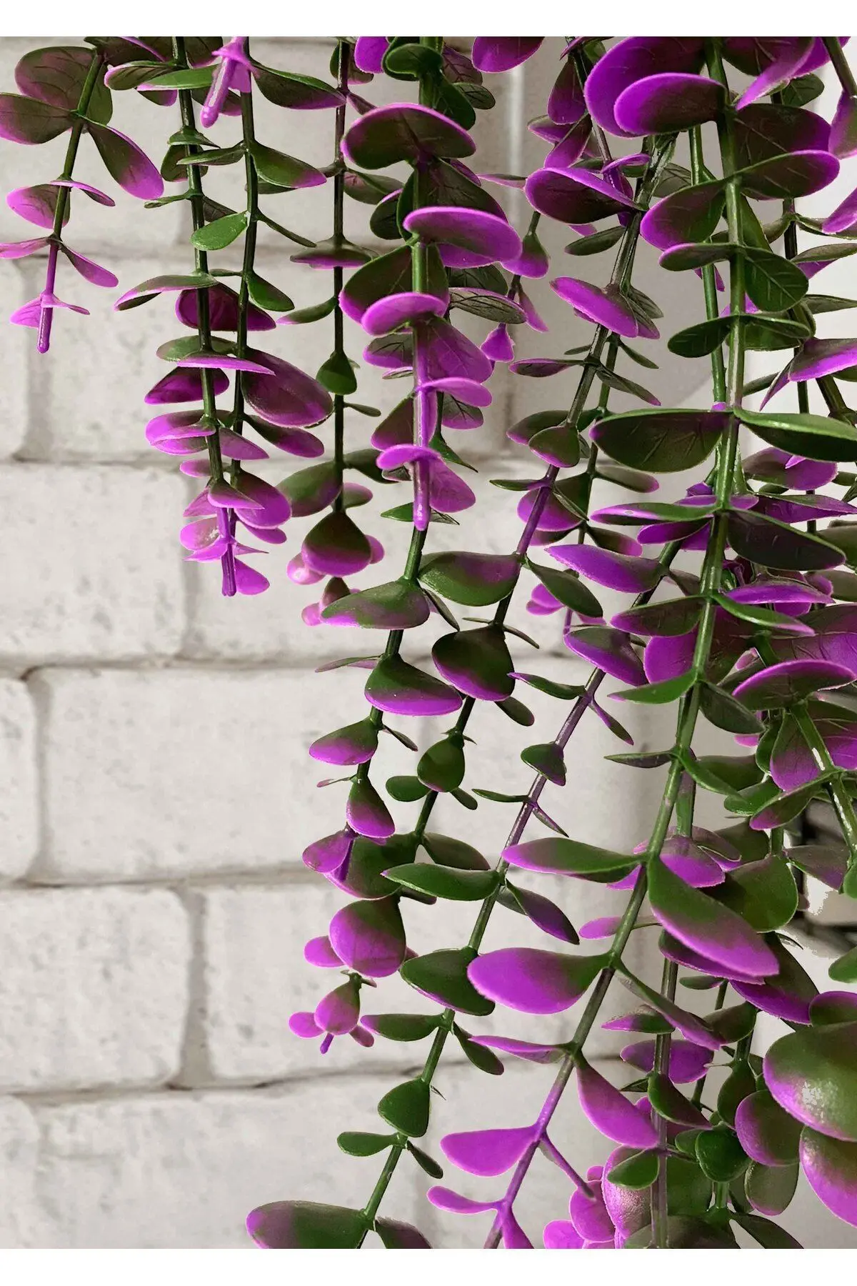 Özel Tasarım Iki Renkli Elmas Beyaz Saksılı Mor - Yeşil Okaliptus Sarkıtı