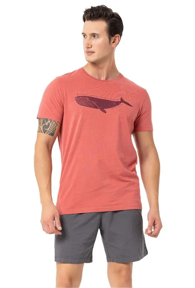 Routefield Tail Erkek Tişört