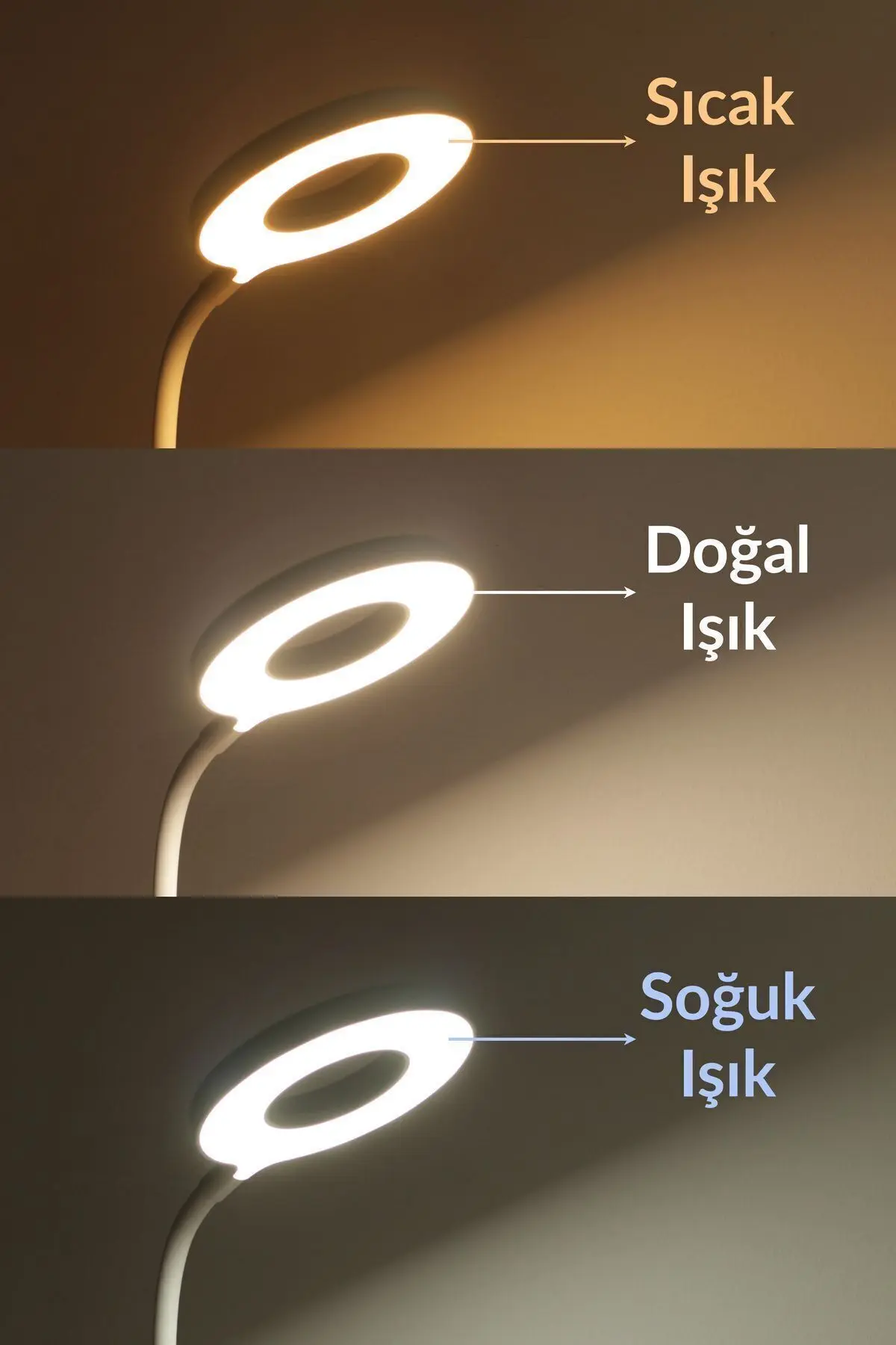 Şarjlı Masa Lambası Dokunmatik 3 Renk 24 Led Telefon Standlı Kademeli Çalışma Okuma Işığı