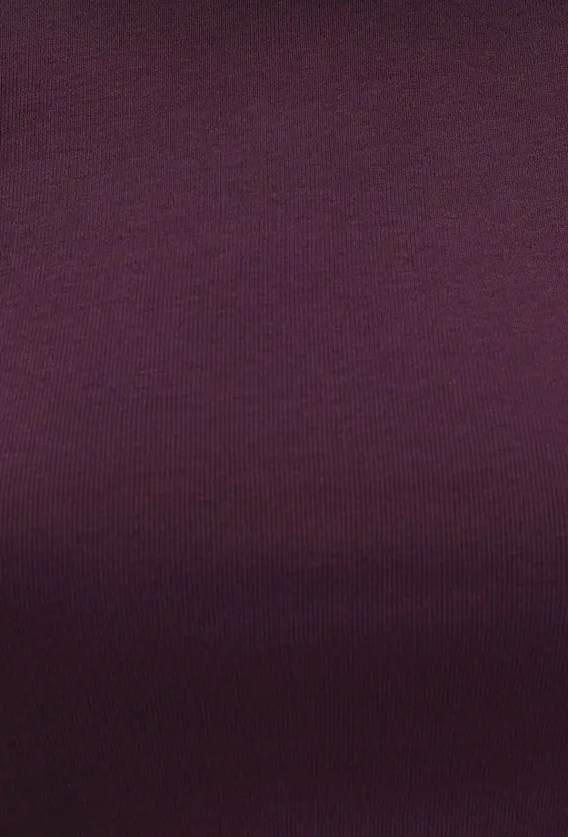 Mavi Bordo Basic Crop Tişört Crop / Kısa Kesim 1600814-70434