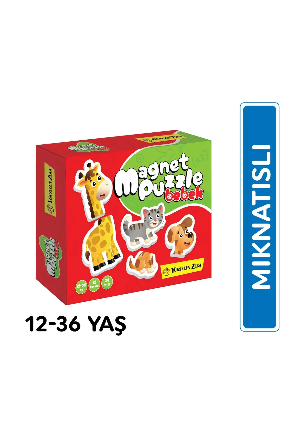 yükselen zeka 12-36 Ay Ilk Magnet Puzzle