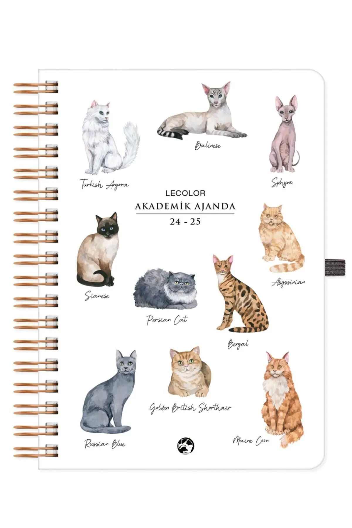 Akademik Ajanda 17x24 cm Spiralli 24/25 Kedi