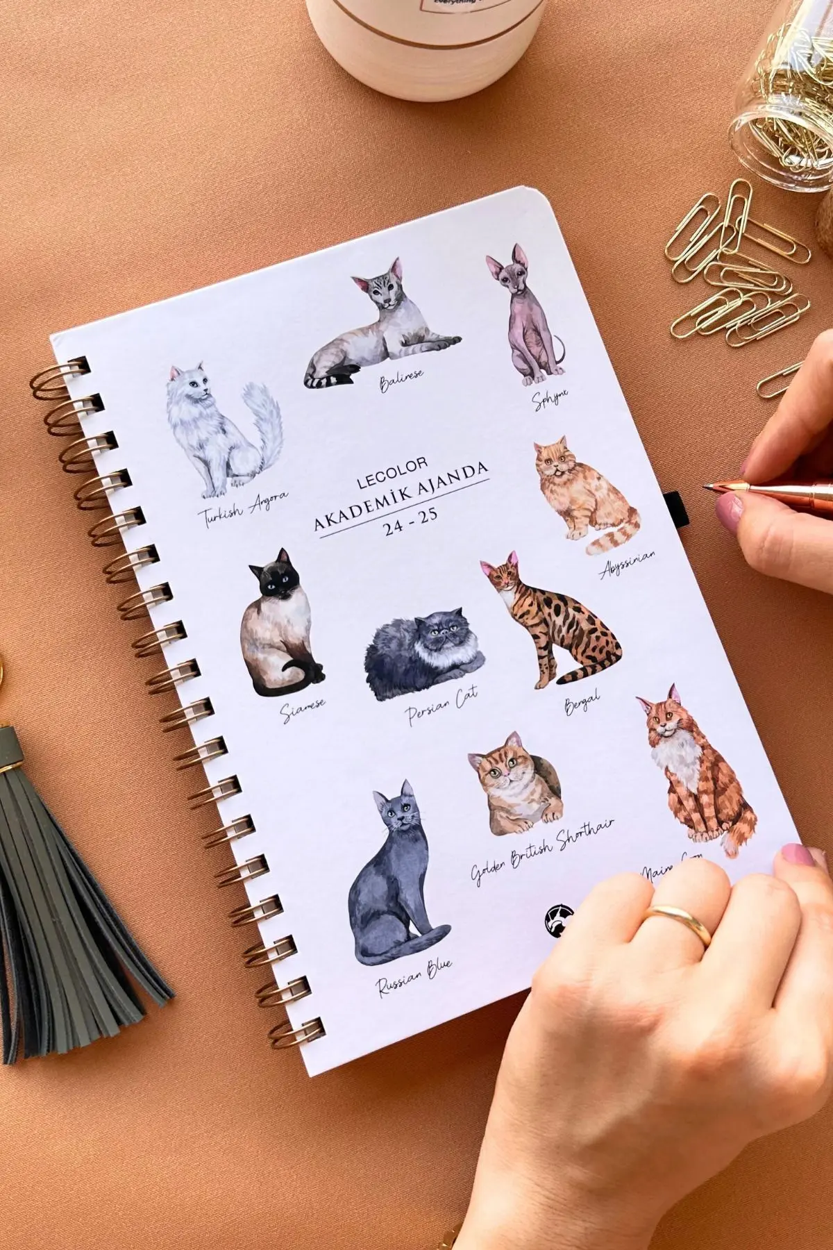 Akademik Ajanda 17x24 cm Spiralli 24/25 Kedi