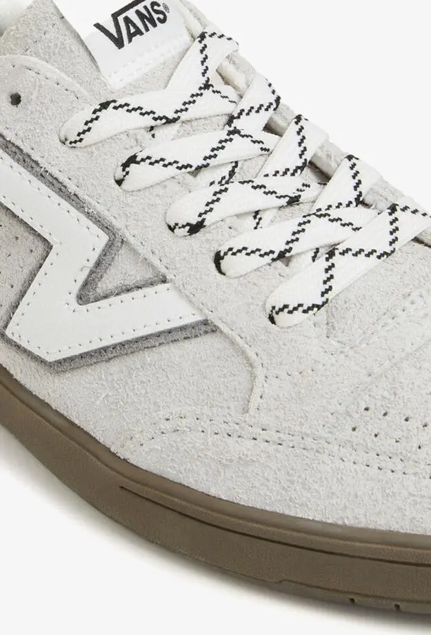 Vans Lowland Cc Unisex Siyah Sneaker