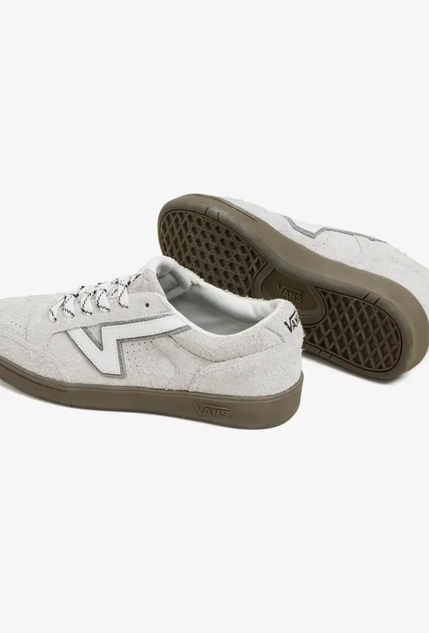 Vans Lowland Cc Unisex Siyah Sneaker