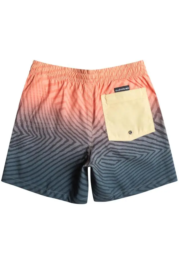 Quiksilver Erkek Çocuk Volley Short Warped Logo 14 B Jamv Lacivert