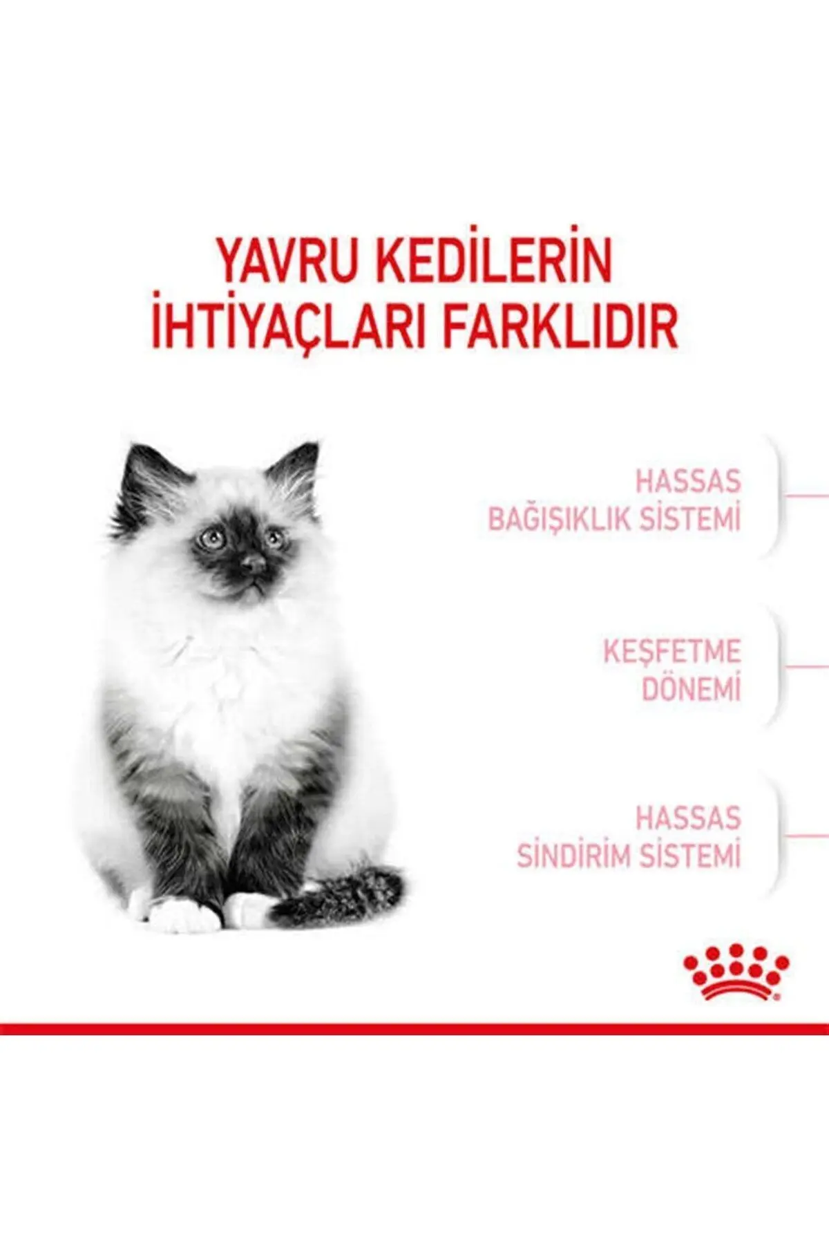 Kitten Yavru Kuru Kedi Maması 2 Kg