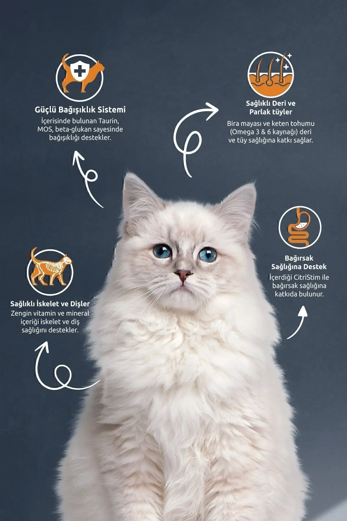 Somonlu Kısırlaştırılmış Kedi Maması 2kg