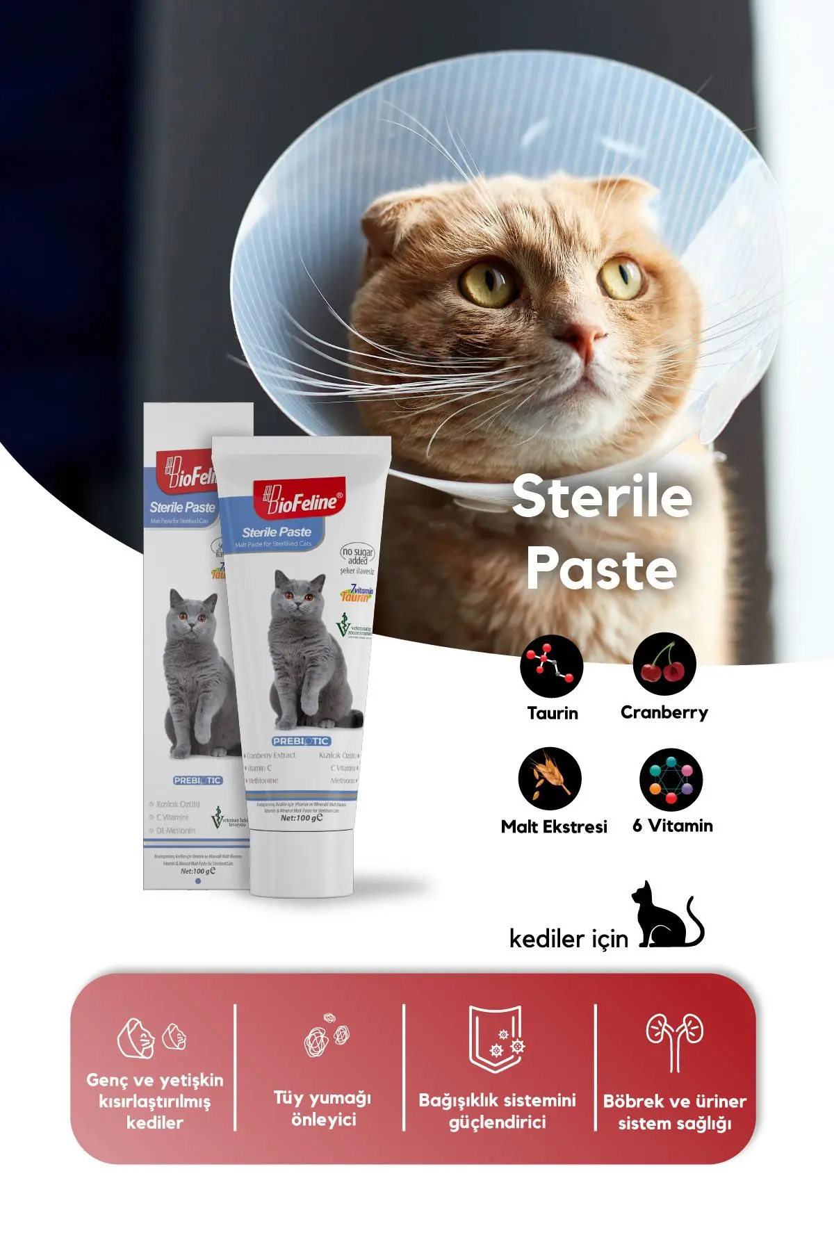 Kısır Kediler İçin Multivitaminli Malt Macun 100g | Sterile Paste