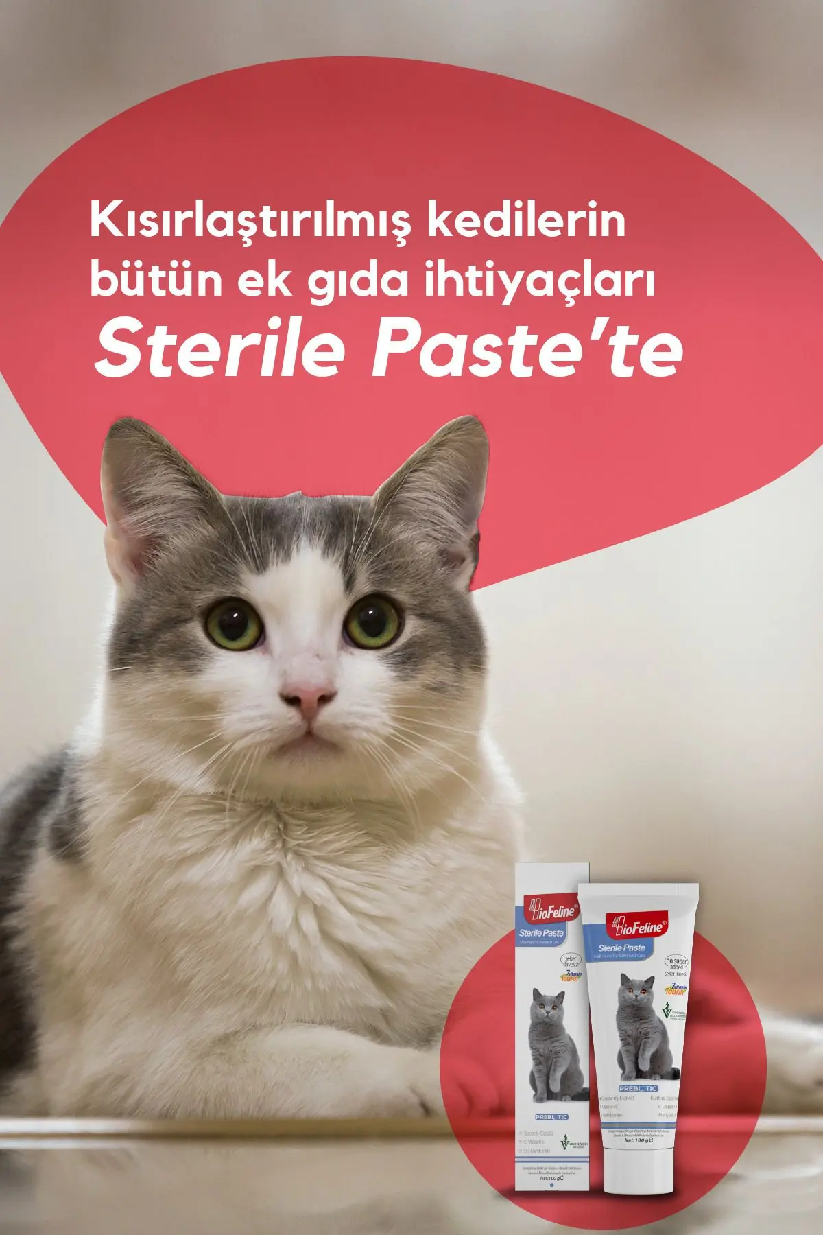 Kısır Kediler İçin Multivitaminli Malt Macun 100g | Sterile Paste