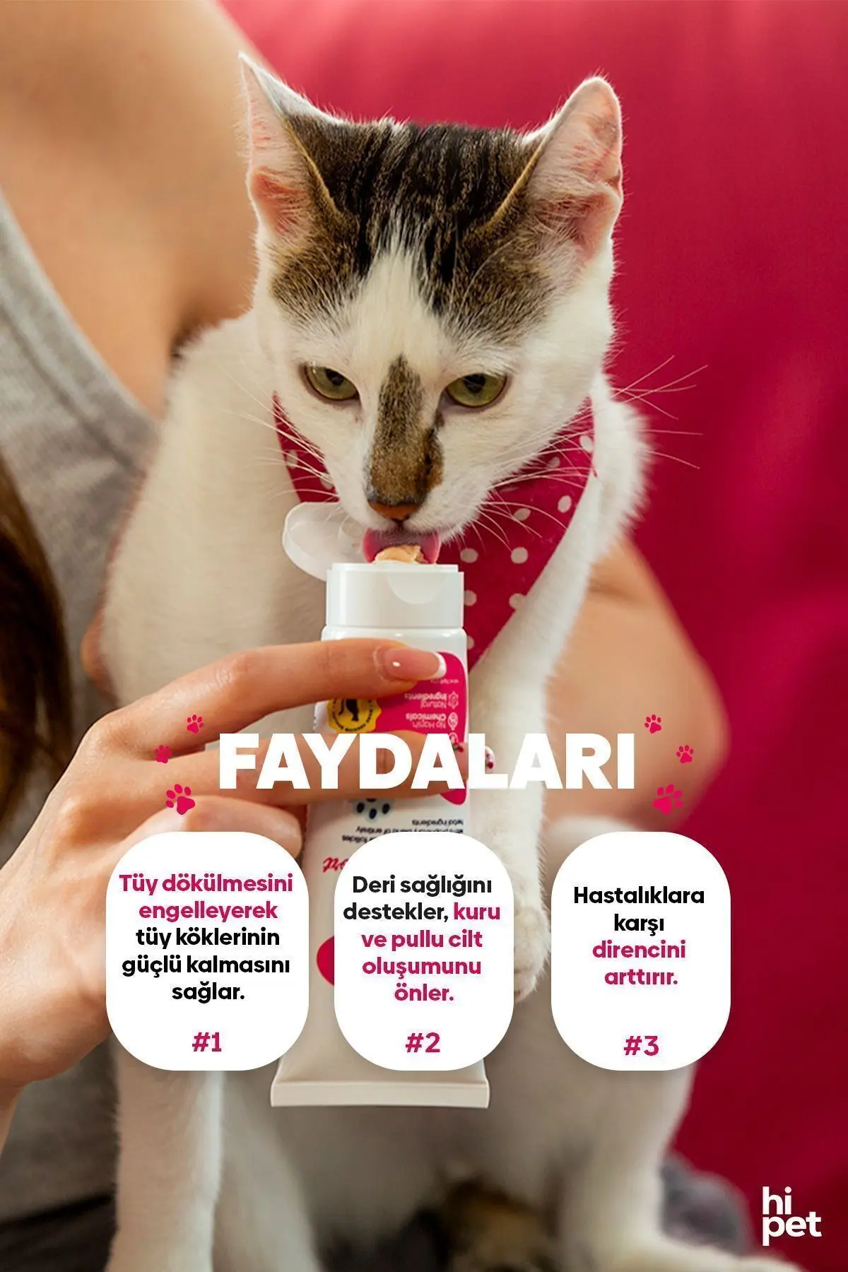 Tüy Dökülme Engelleyici Kedi Maltı