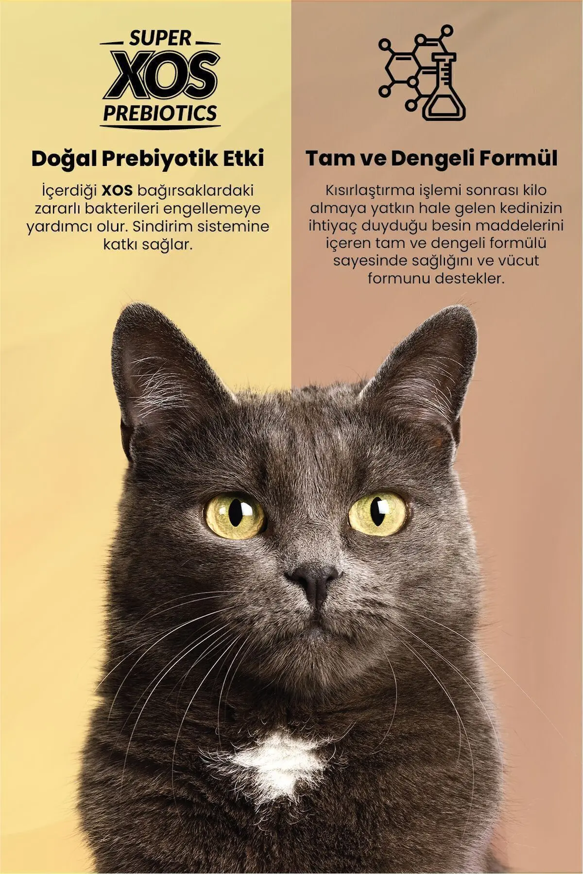 Plus Tavuklu Kısırlaştırılmış Kedi Maması-1,5 Kg