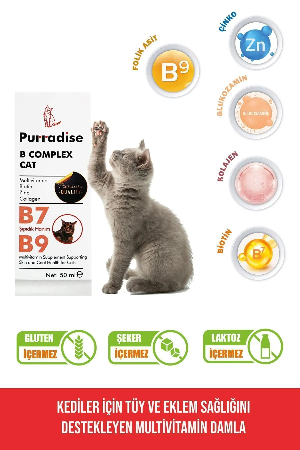 Purradise - B Complex Kedi Tüy Sağlığı Damlası