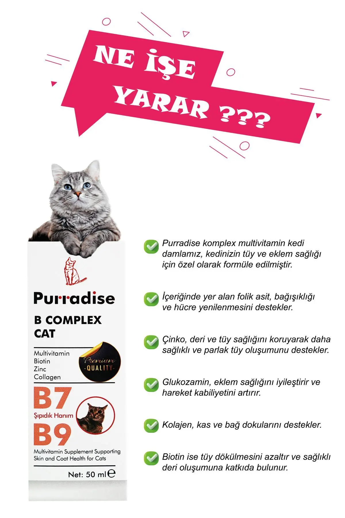 - B Complex Kedi Tüy Sağlığı Damlası