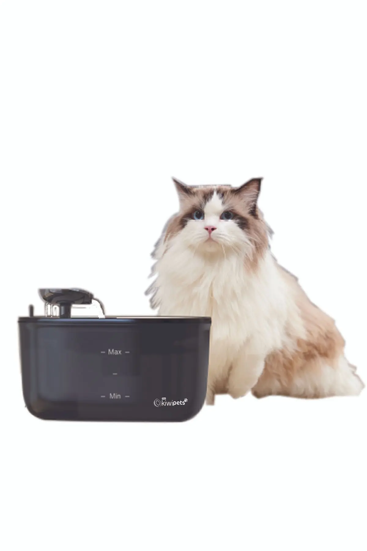 Kiwi Kiwipets Otomatik Kedi Köpek Su Pınarı Su Çeşmesi Ultra Sessiz Su Şelalesi