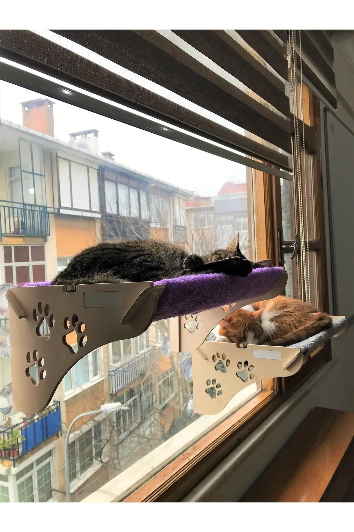 Cama Asılan Kedi Yatağı Vantuzlu