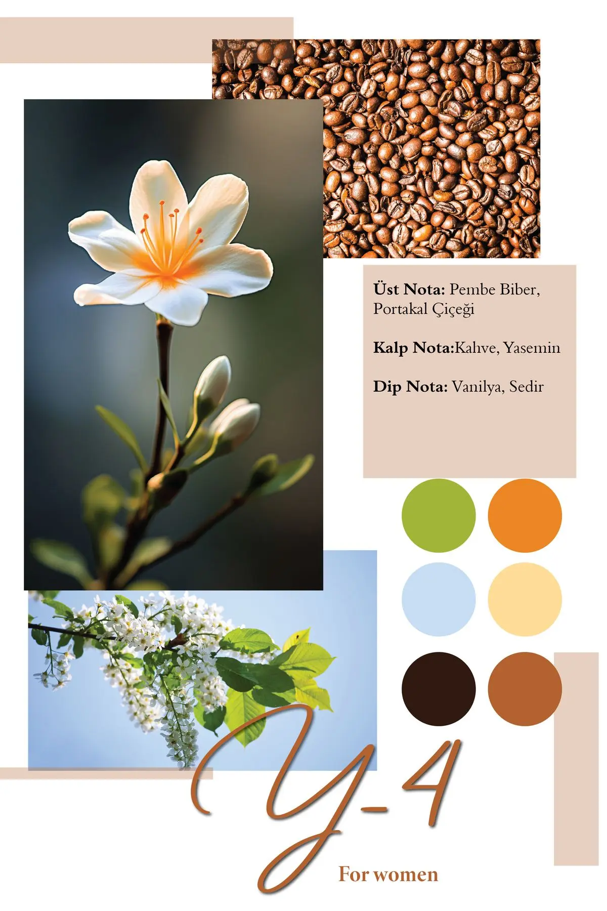 Y-4  50 ML Kadın Parfüm