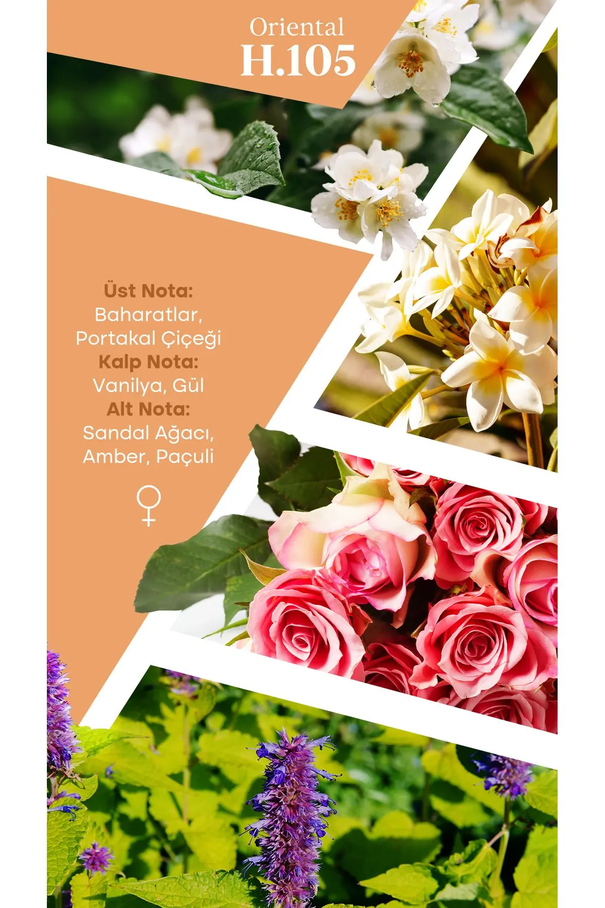 Mad H105 Selective 100 ml Kadın Parfüm