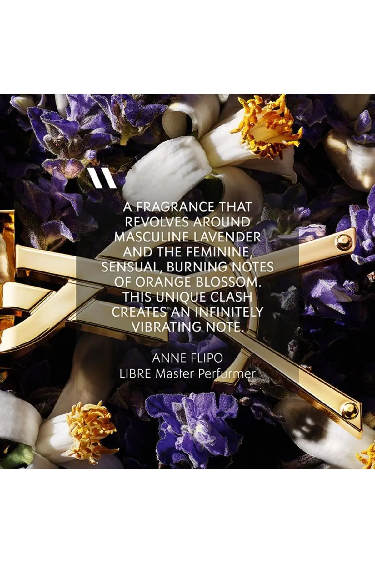 Libre Edp 30 Ml Kadın Parfüm 3614272648401