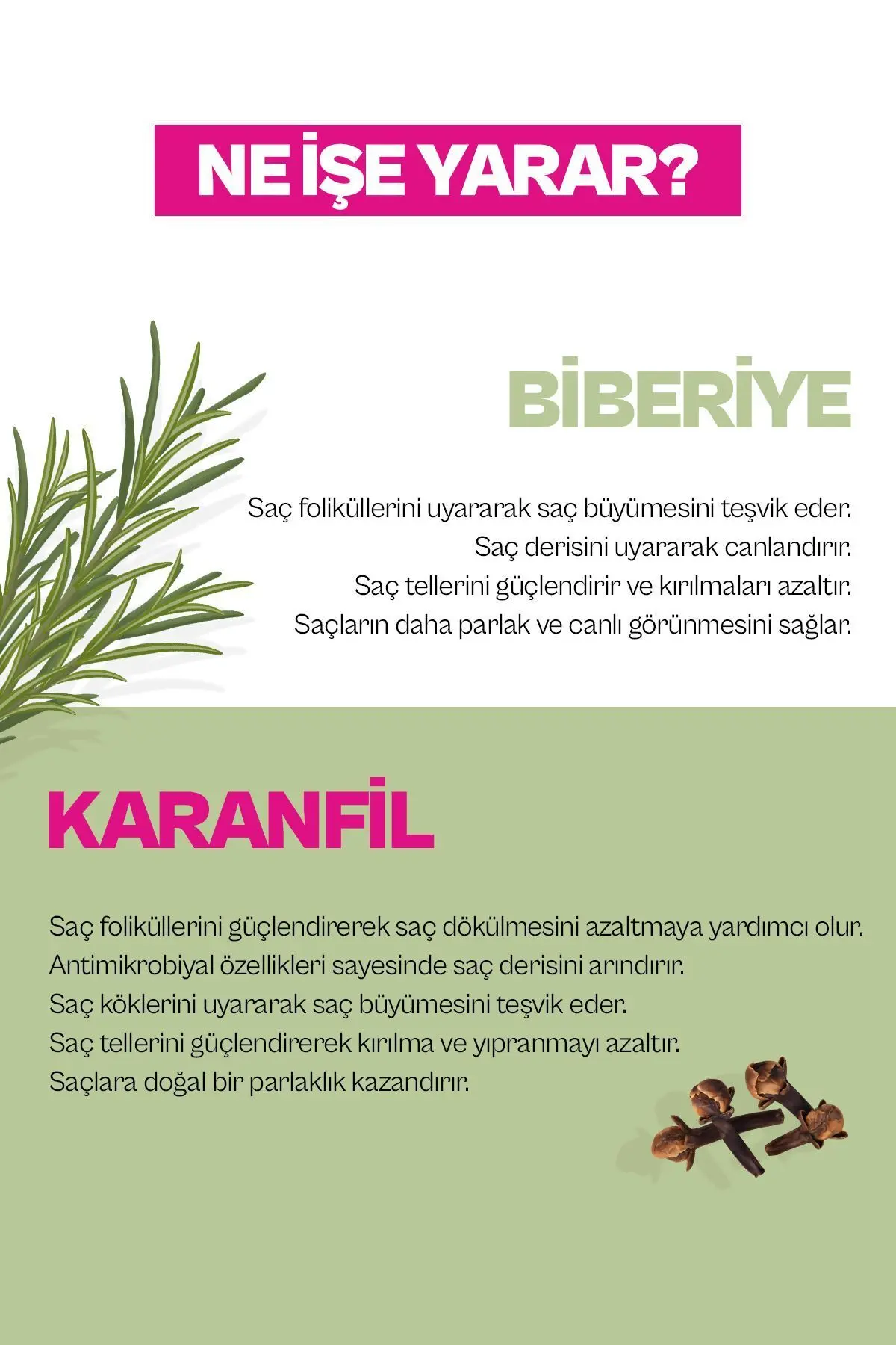 Rosemary & Clove Biberiye Ve Karanfil Canlandırıcı Ve Güçlendirici Saç Bakım Sütü 200 ml